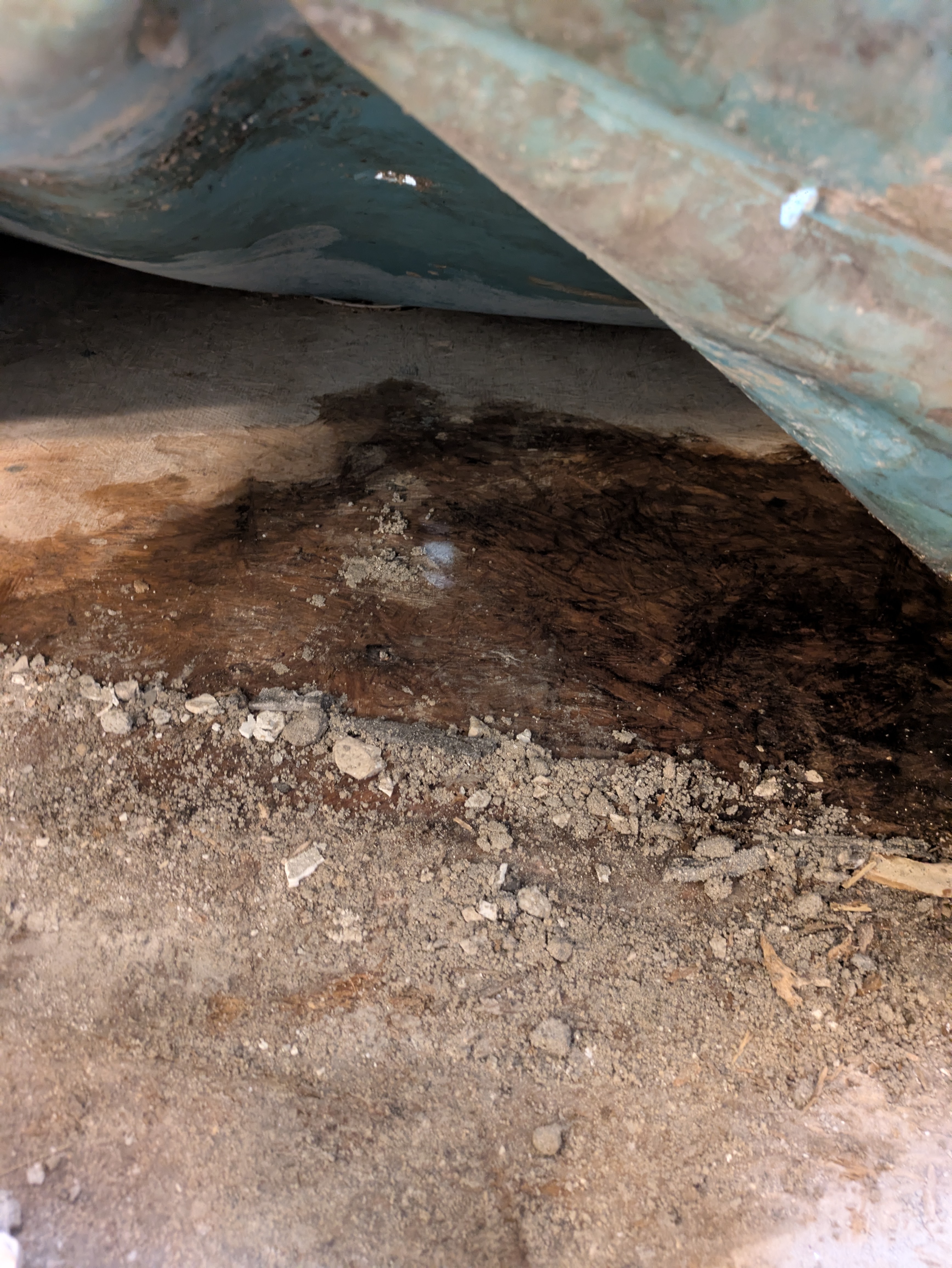 Tracing water leaks under a shower pan in a Normaltown home